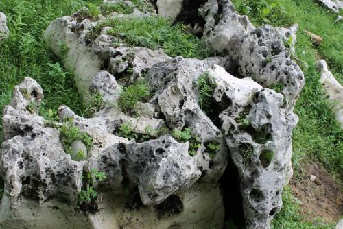 Выветренный известняк (степной) фр. 500-1500 мм.