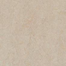 Линолеум Forbo Marmoleum Fresco 3871 silver birch