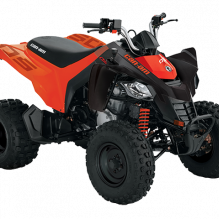 Квадроциклы DS BASE 250 2021